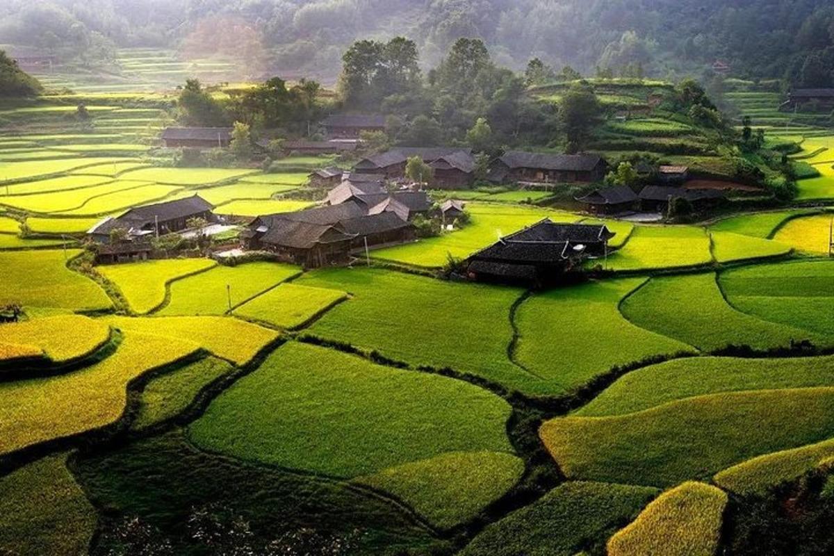 uma vila no meio de um campo verde