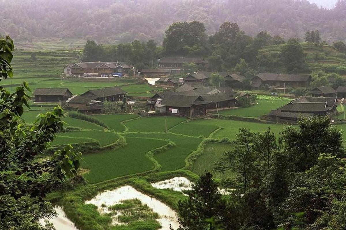 丘の上に緑の野原と家々が建つ村