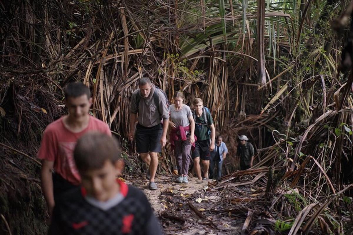 a group of people walking down a dirt trail