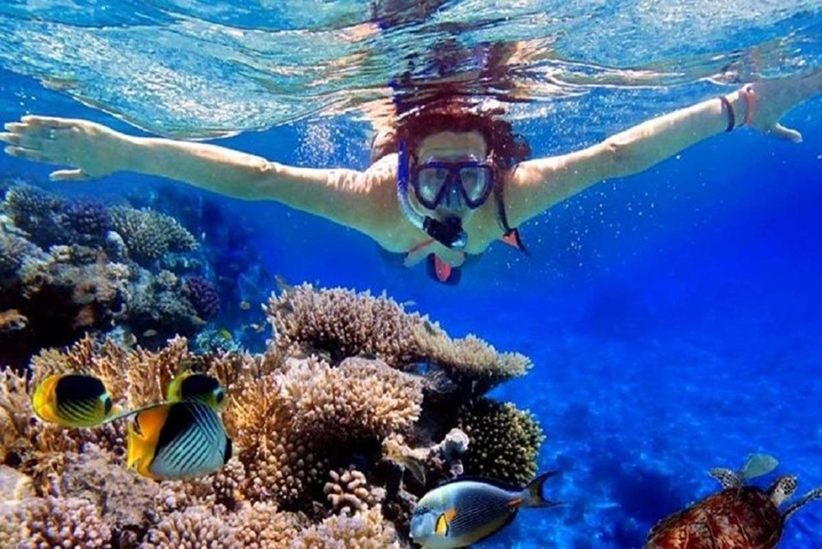 женщина, плывущая над коралловым рифом с рыбами