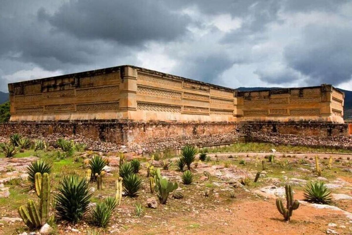 un gran edifici a sobre d'un camp amb cactus