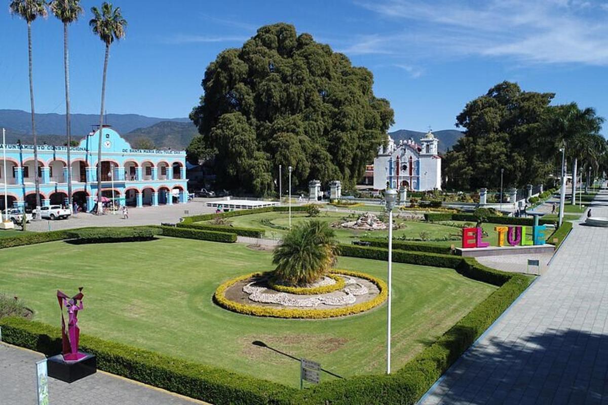 un parc davant d'un edifici amb una font