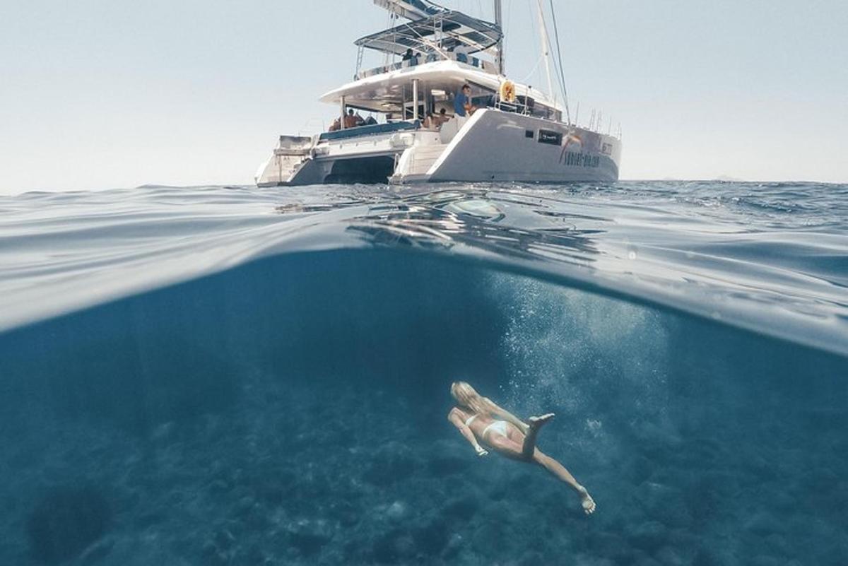 Un delfín nadando en el agua frente a un barco.