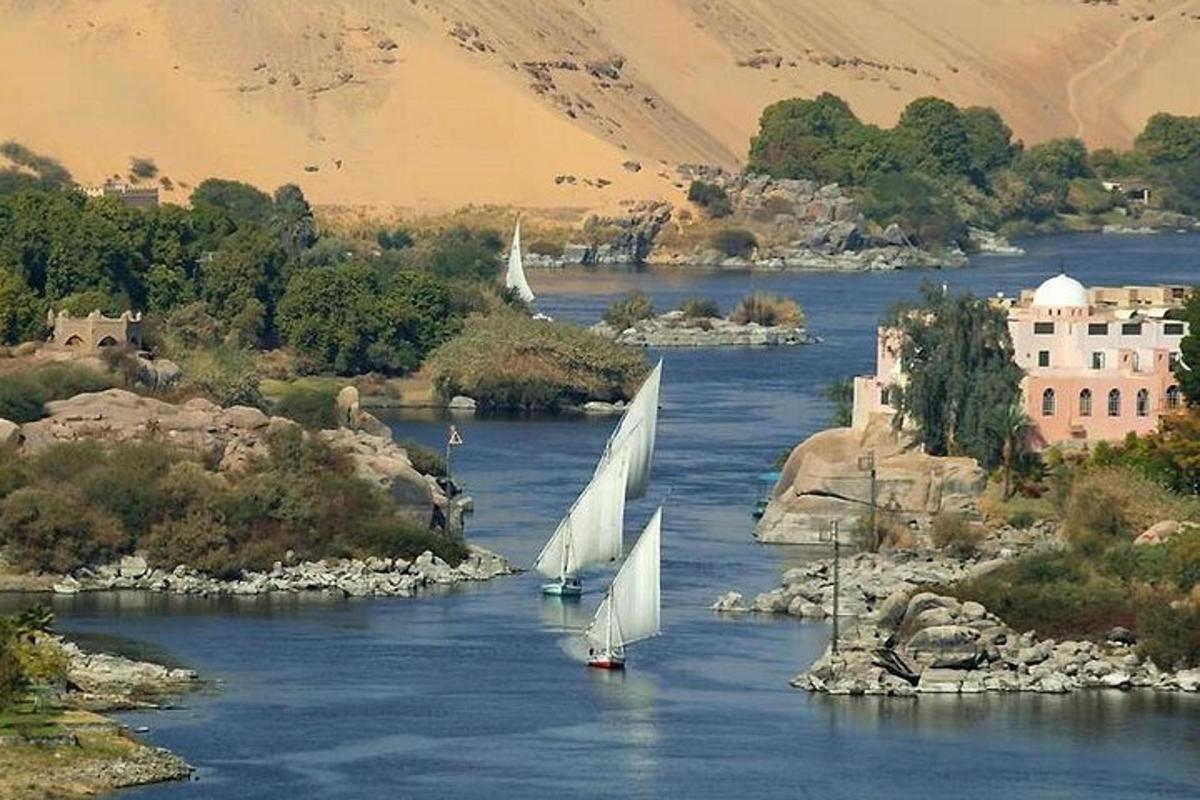un gruppo di barche a vela su un fiume con un edificio