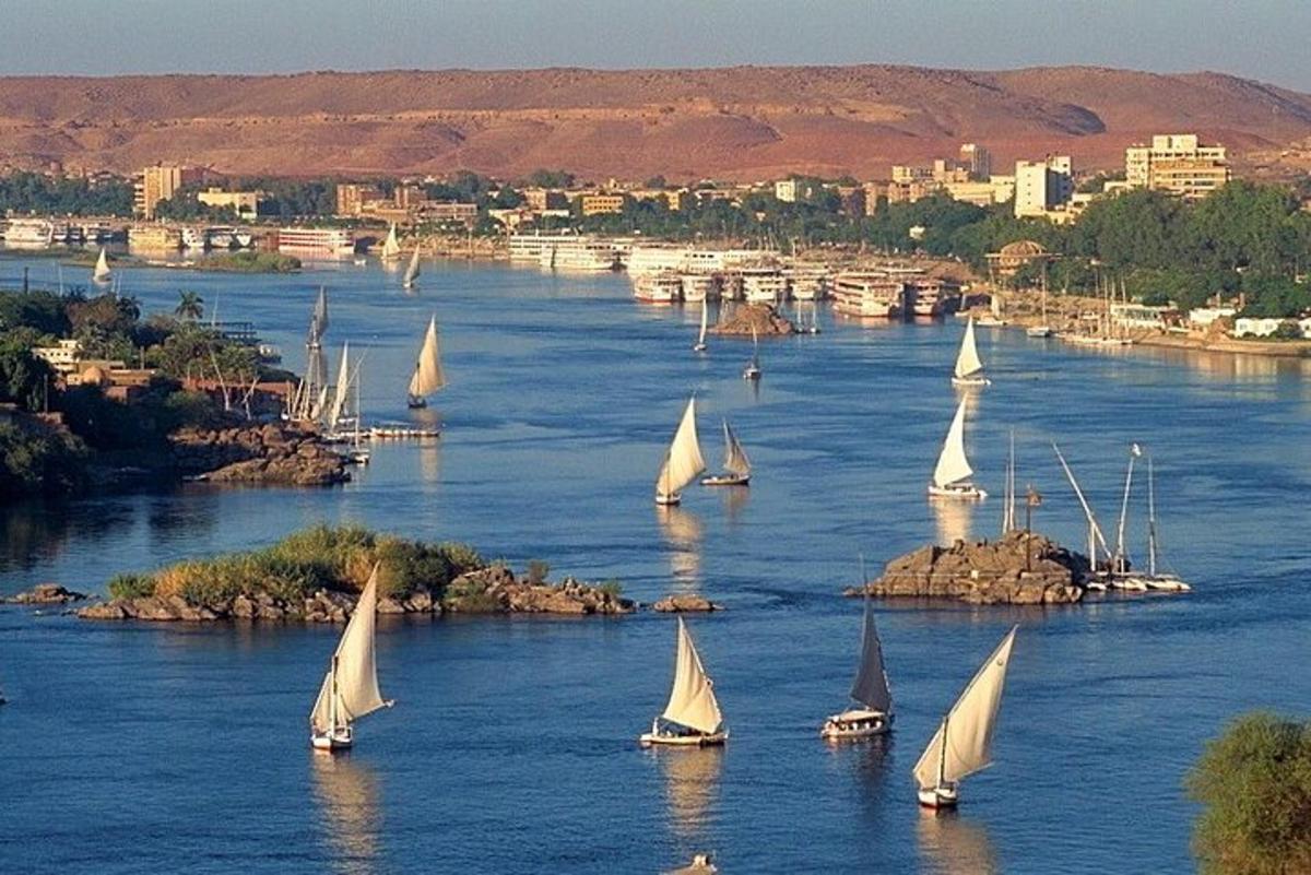 een groep zeilboten op een rivier met een stad