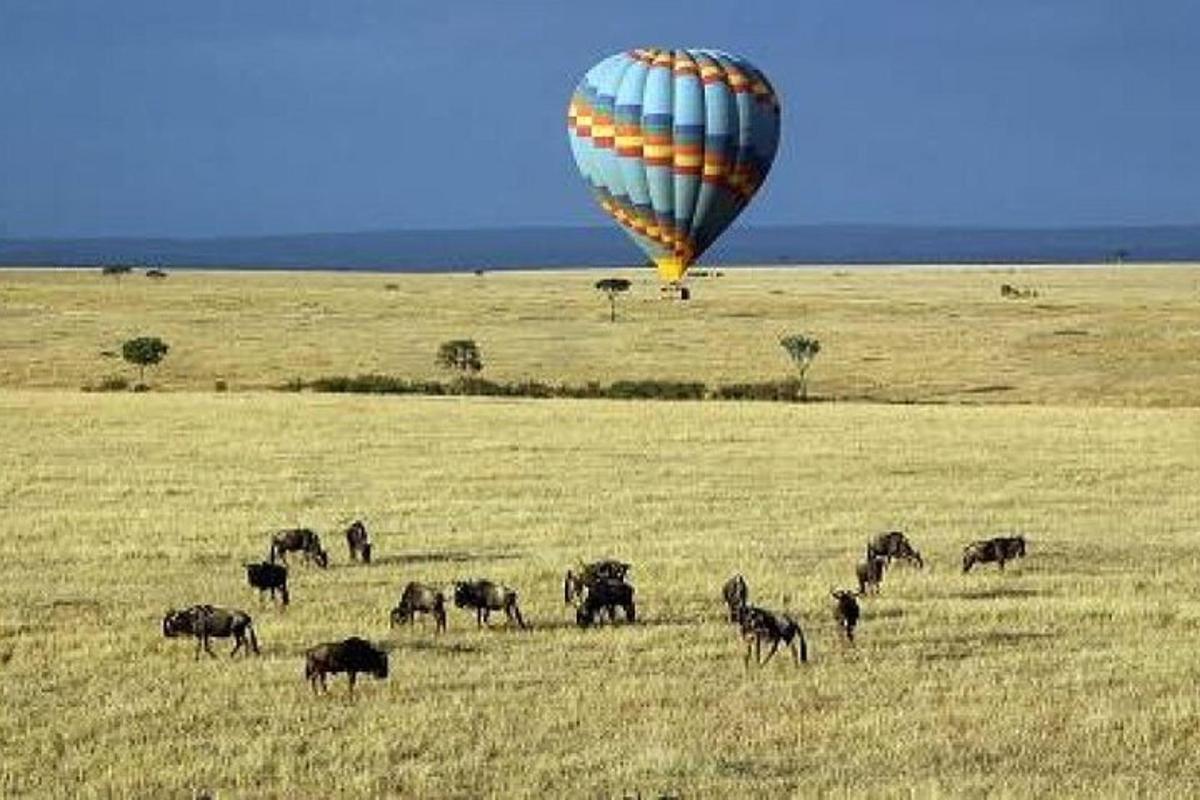 un globus aerostàtic volant sobre un ramat d'animals en un camp