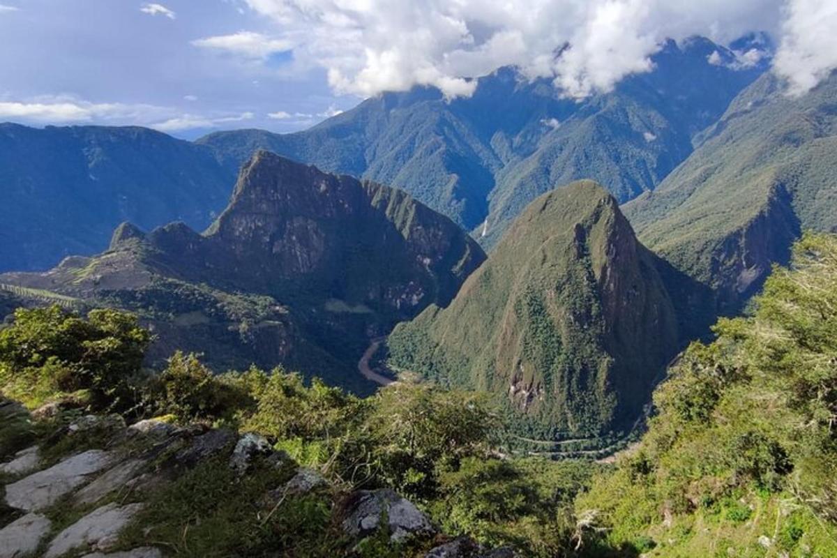 a view of a mountain range with trees