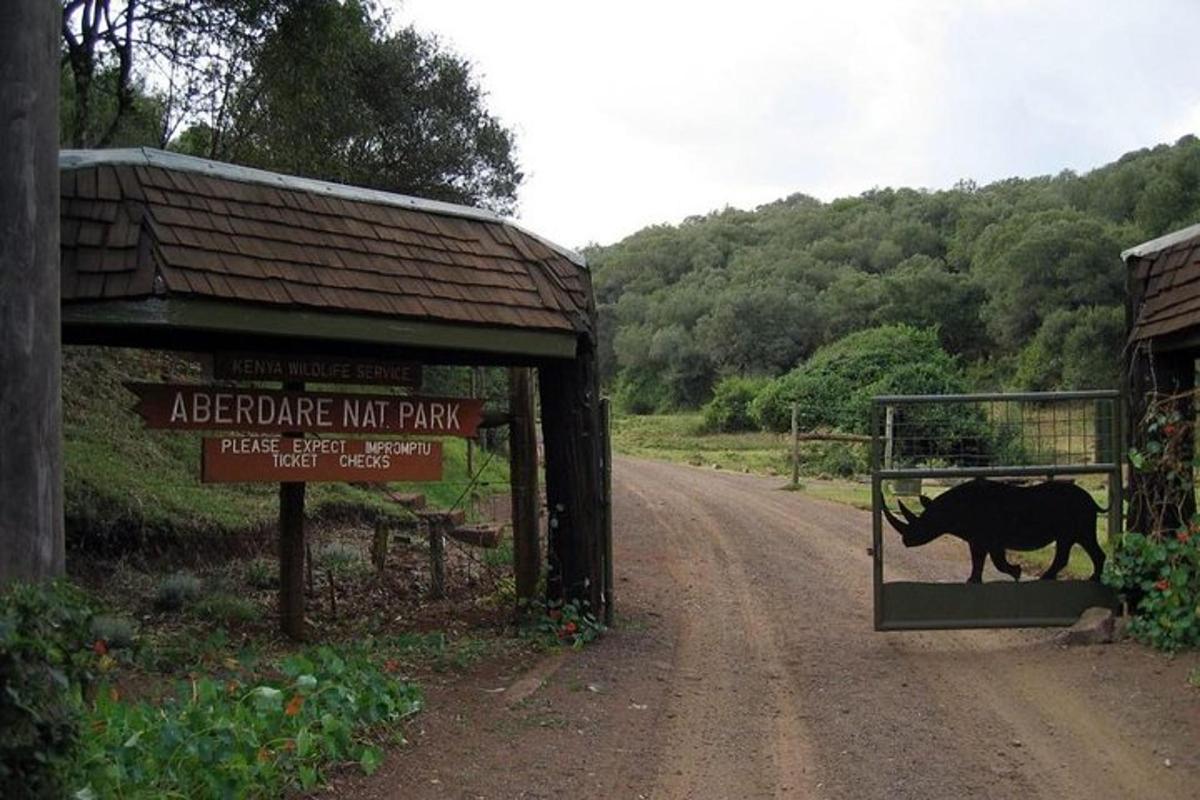 a cow walking through a gate on a dirt road