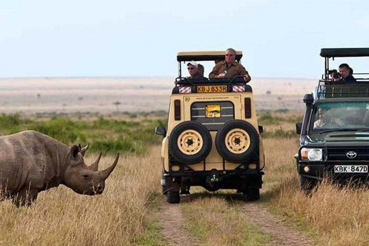 sebuah jip safari dan seekor badak berdiri di samping seekor badak