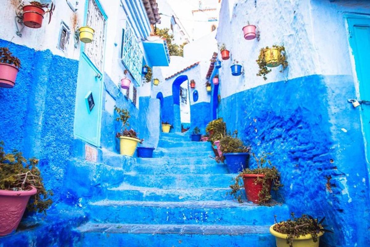 a blue stairway with potted plants on it