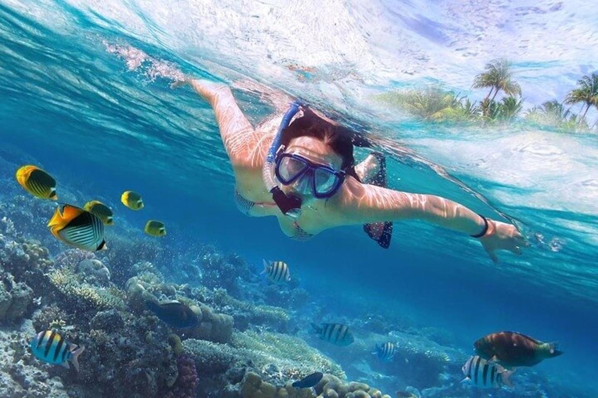 Žena plave v oceánu s rybami