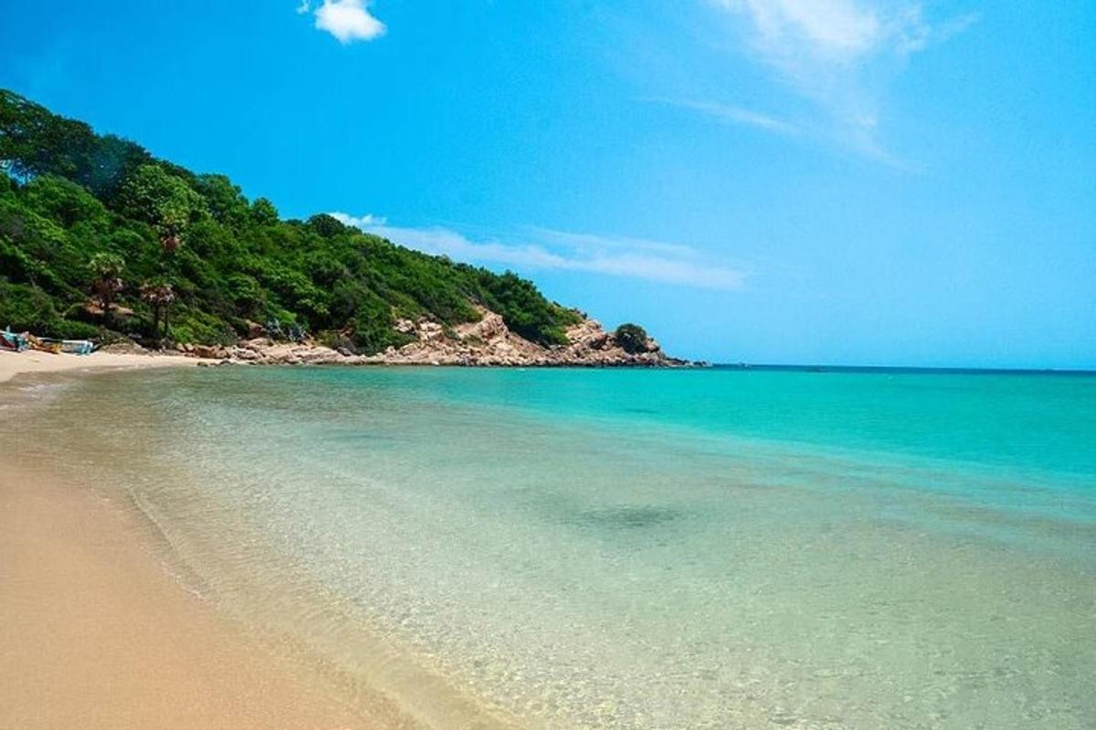 Una playa con agua azul clara y árboles.