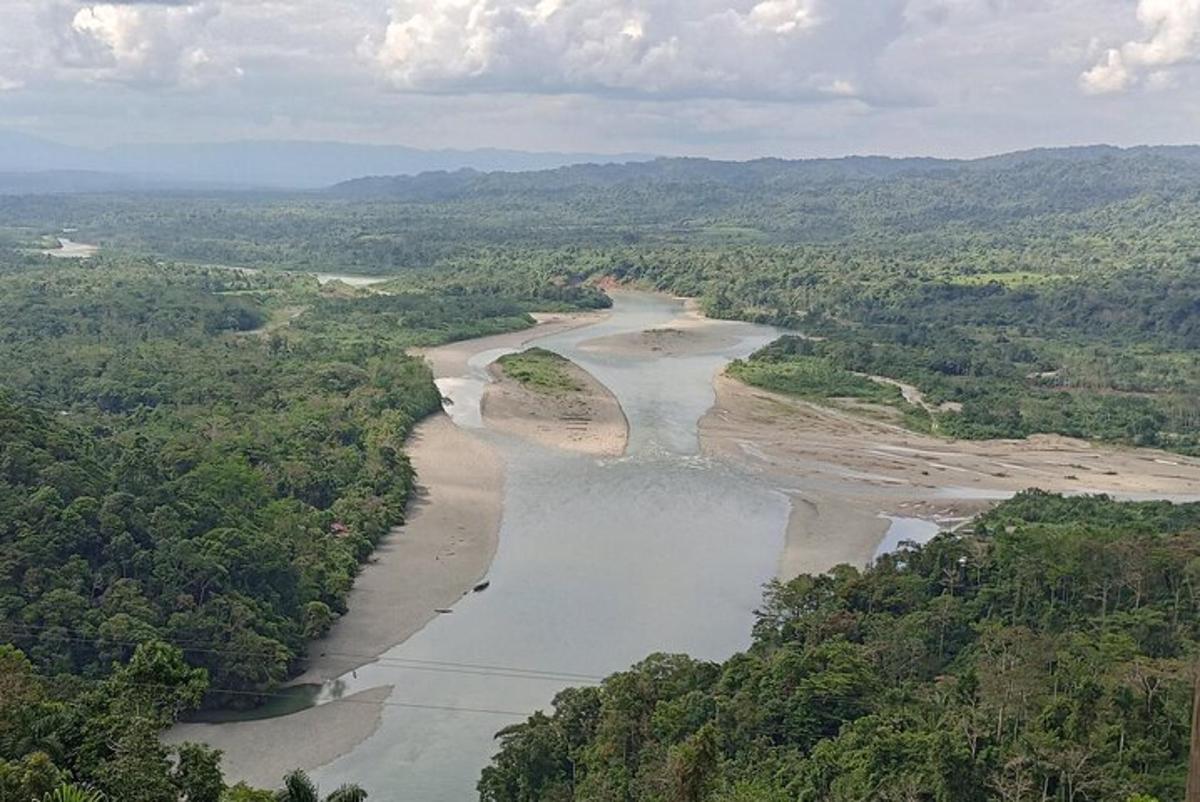 an aerial view of a river with forests