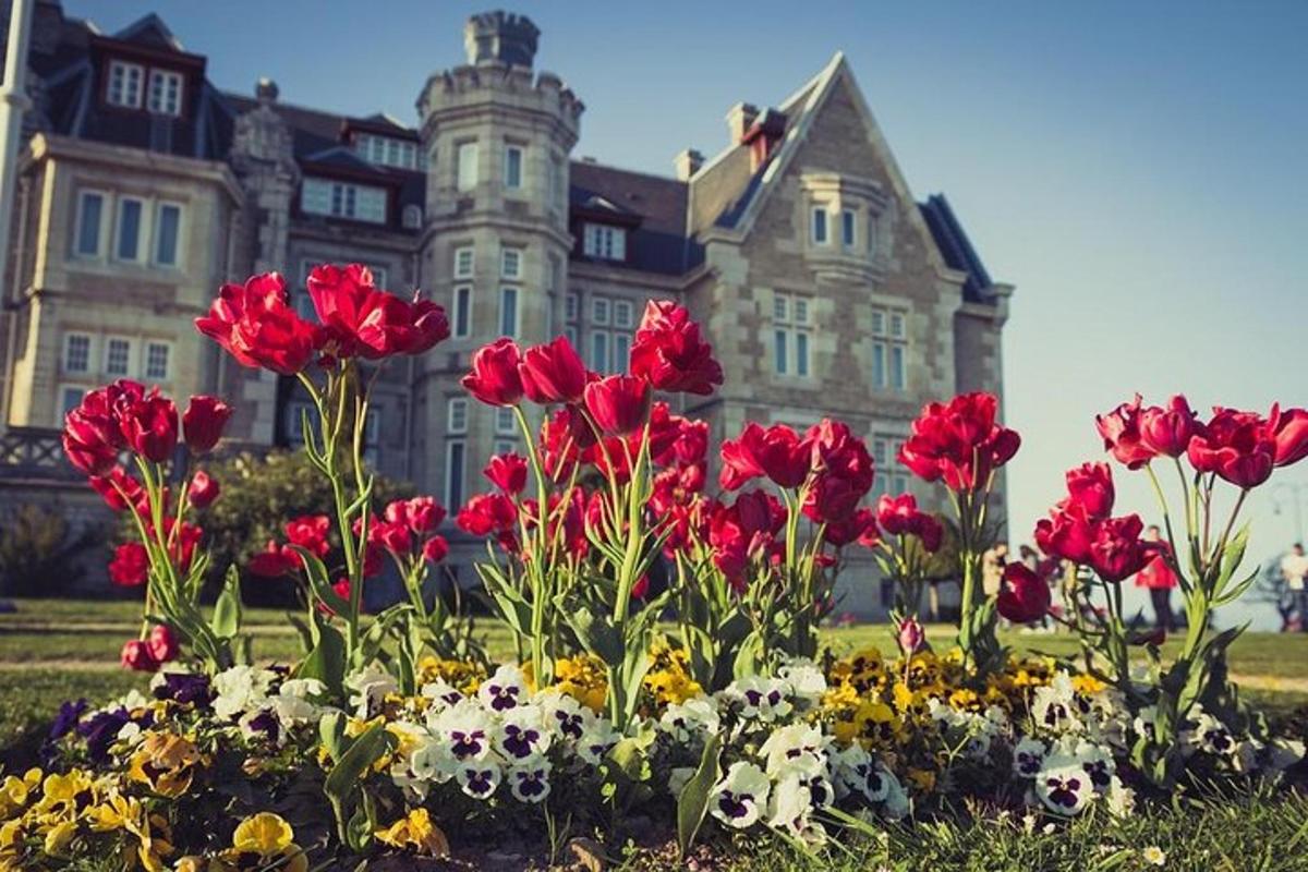 a bunch of flowers in front of a house
