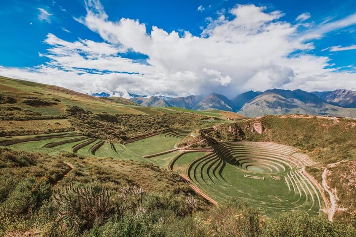 una vista aerea di un campo con le montagne sullo sfondo