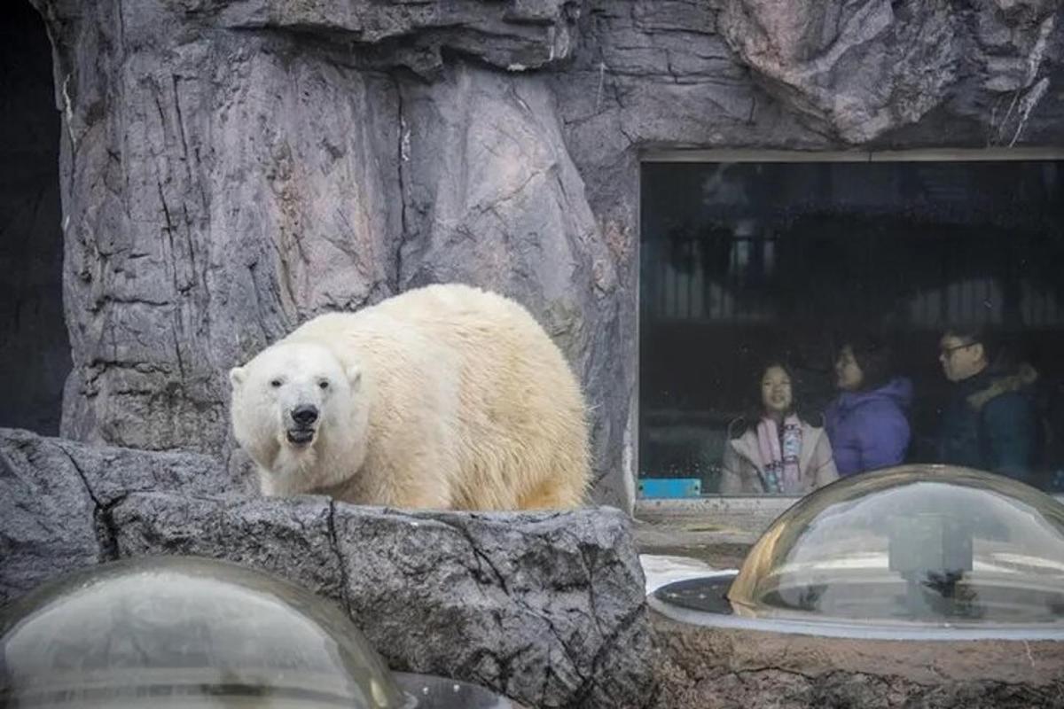 1枚目の観光スポット・アクティビティの写真