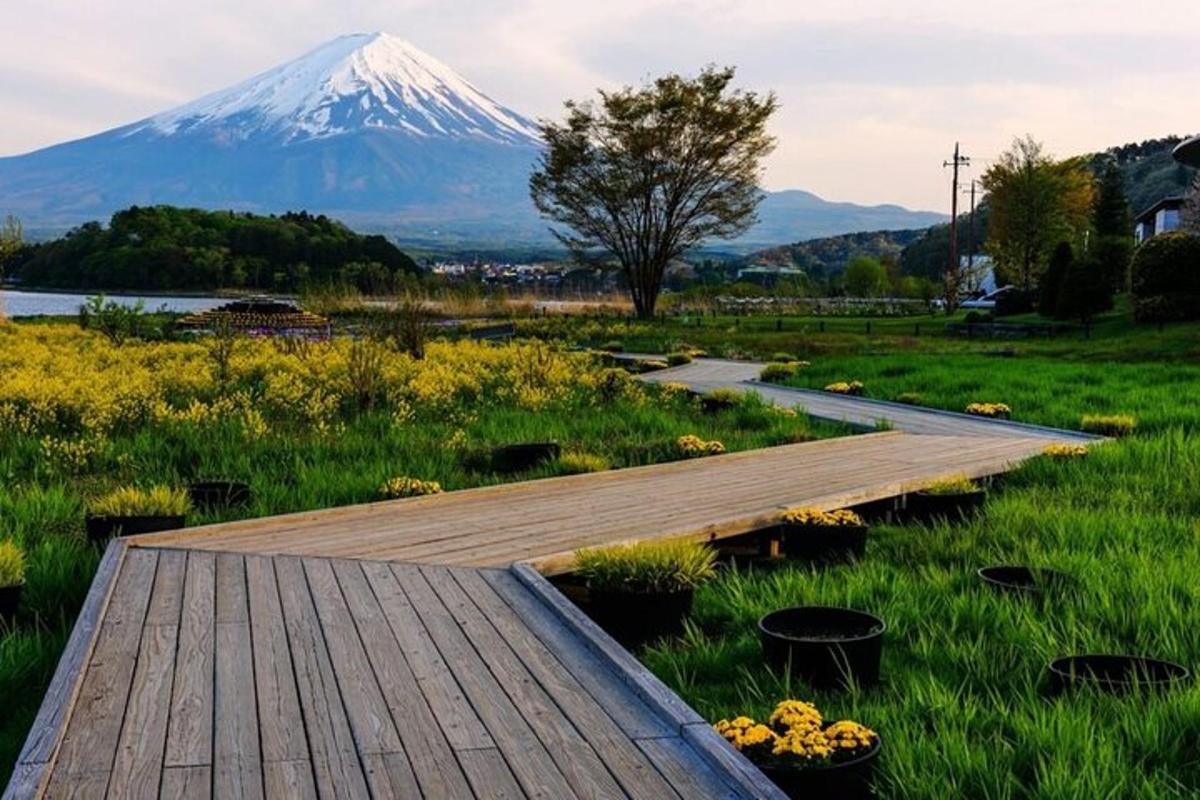 a wooden walkway with a snow covered mountain in the background