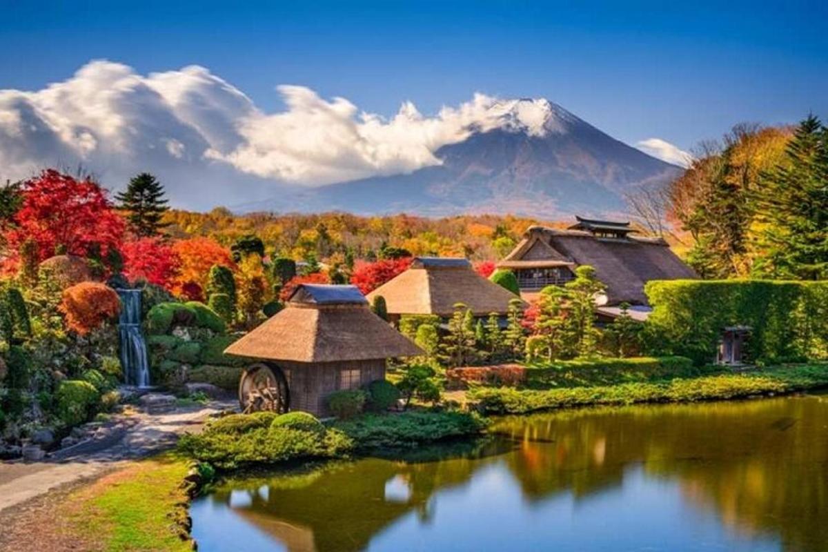 a house in a garden with a mountain in the background