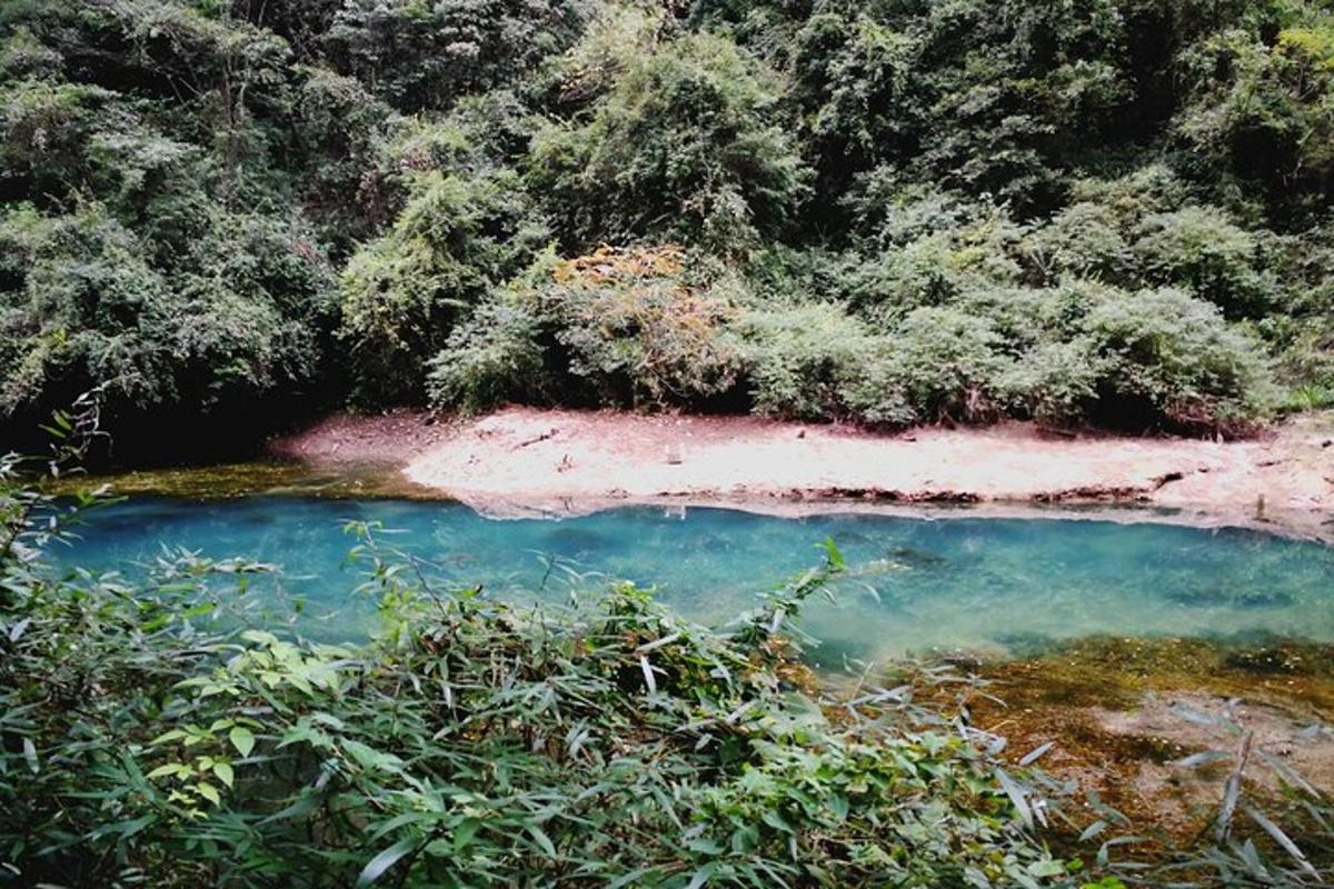 a blue pool of water in the middle of a forest