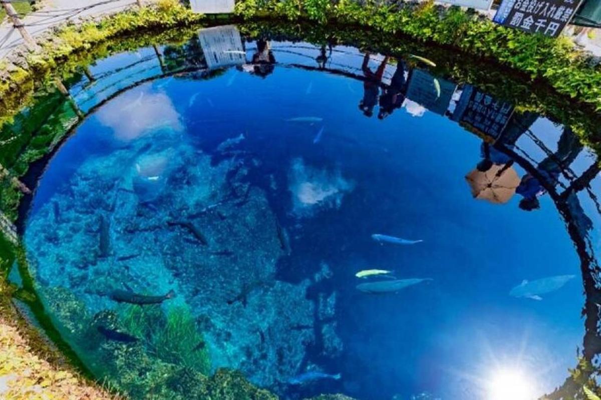 an overhead view of an aquarium with fish in it