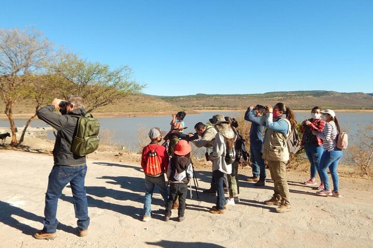 un gruppo di persone che scatta foto di un lago