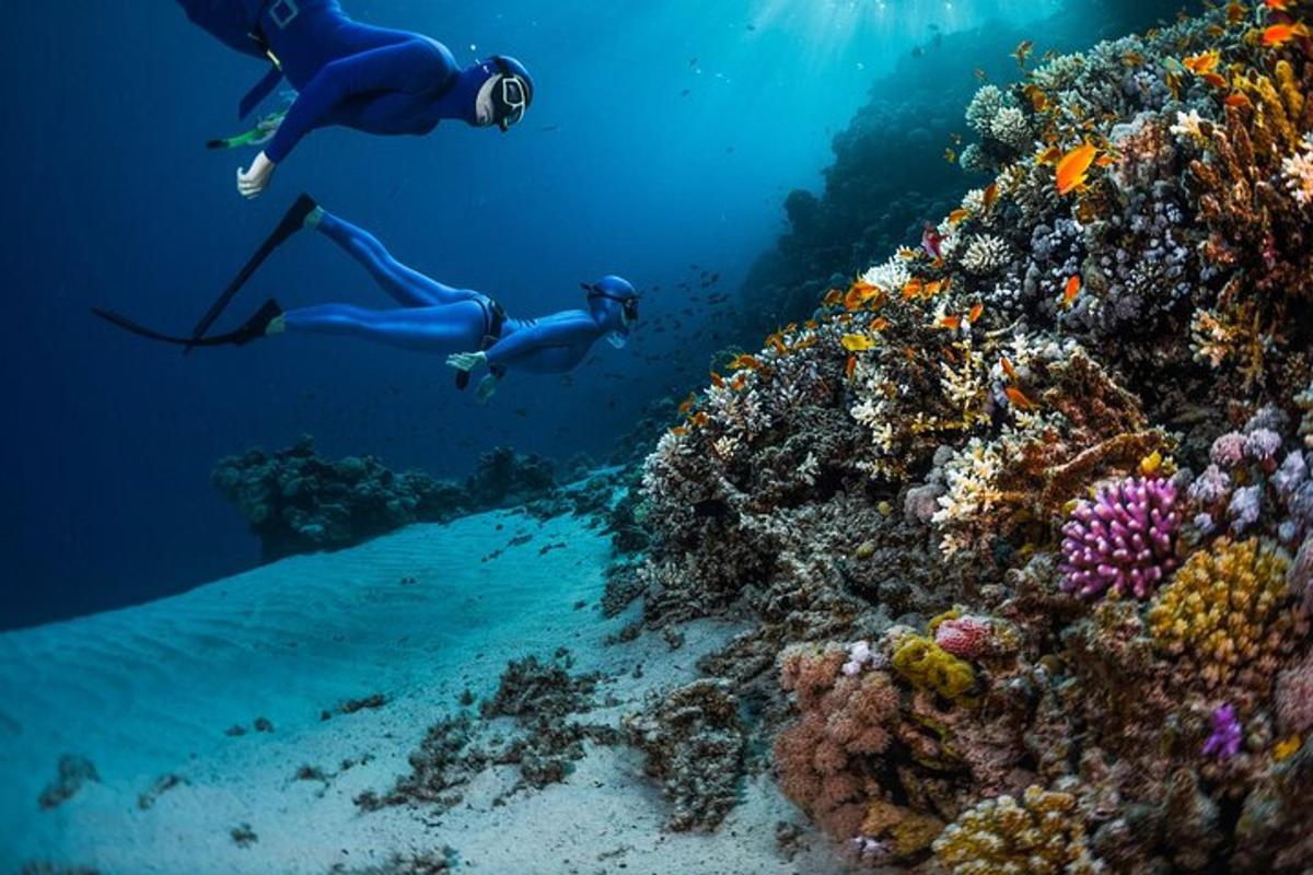 dva lidé plavají v oceánu poblíž korálového útesu