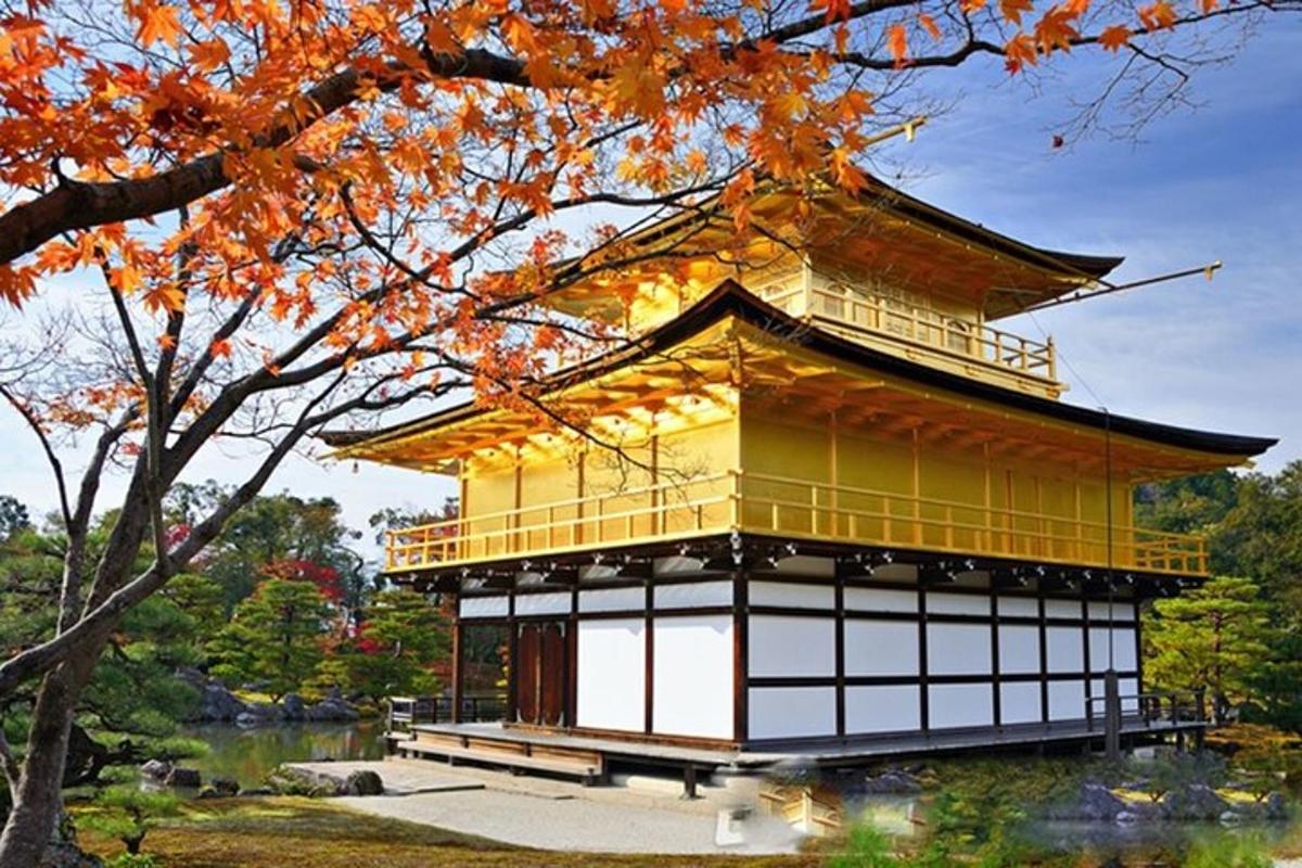 a building in a park with a tree