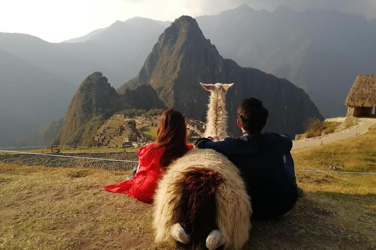 algumas pessoas sentadas ao lado de uma lhama