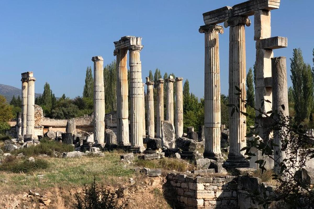 un grupo de columnas en un campo