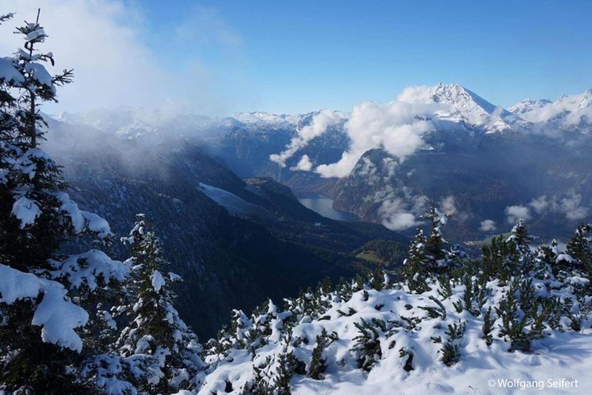 una vista di una catena montuosa con alberi coperti di neve