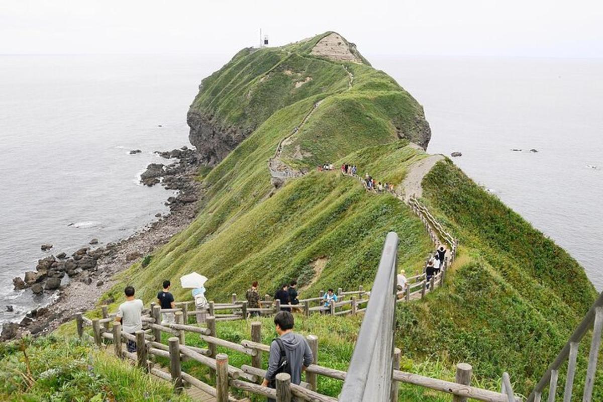 um grupo de pessoas em pé em uma colina perto do oceano