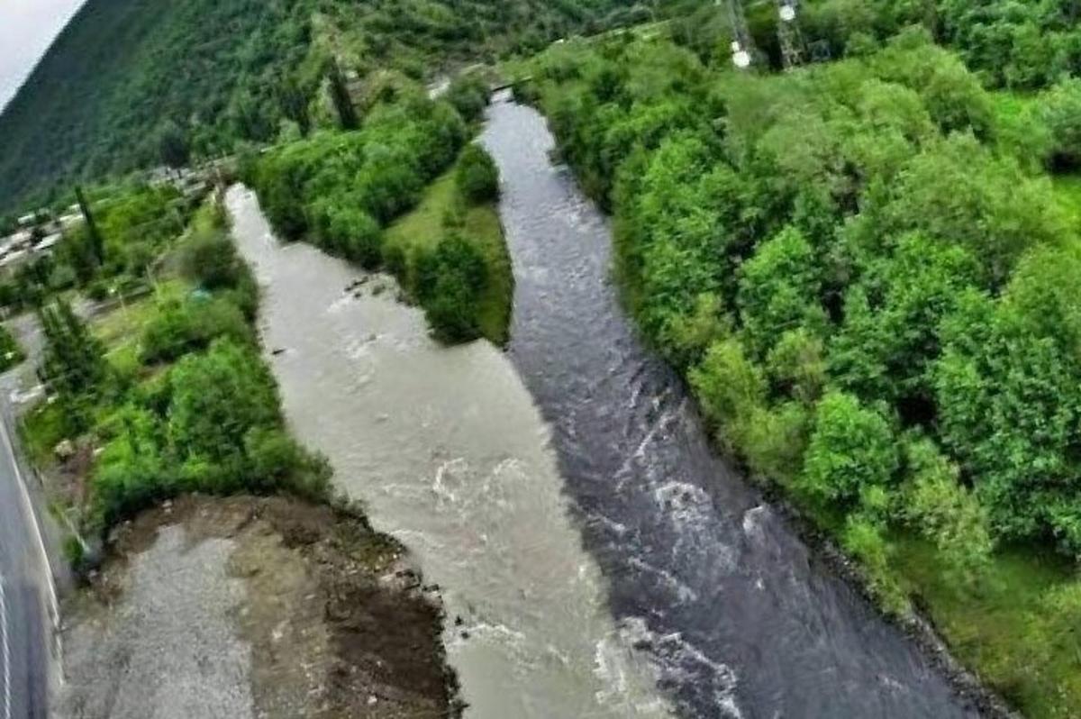 zračni pogled na reko v gozdu
