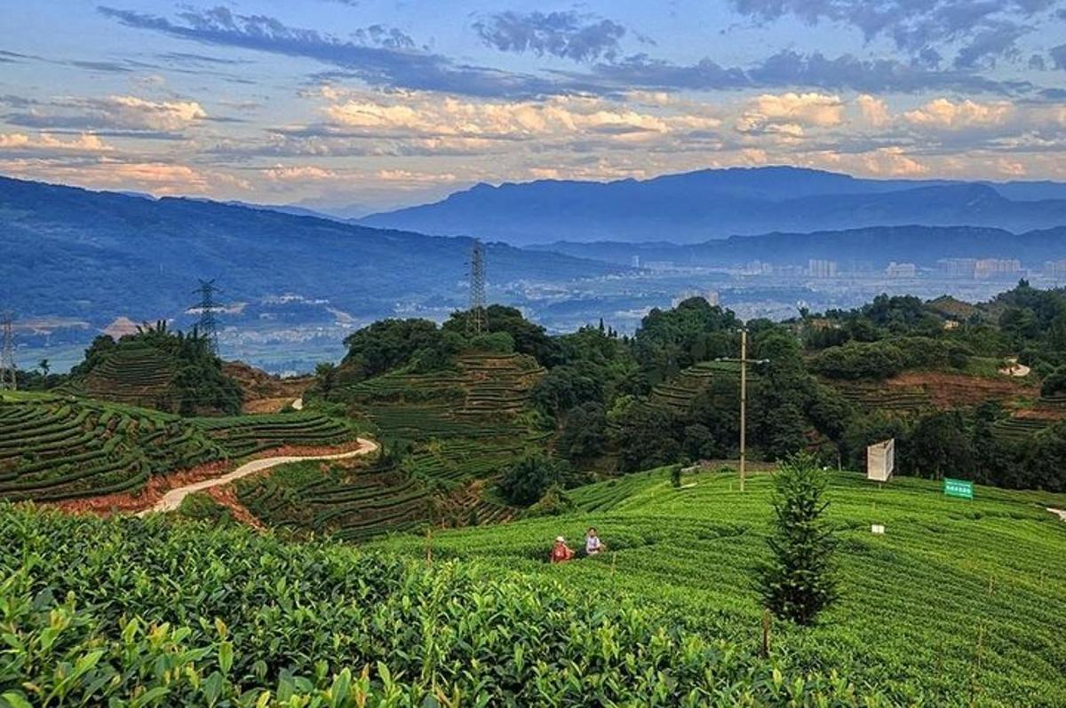 un groupe de personnes assises sur une colline verdoyante avec des montagnes en arrière-plan