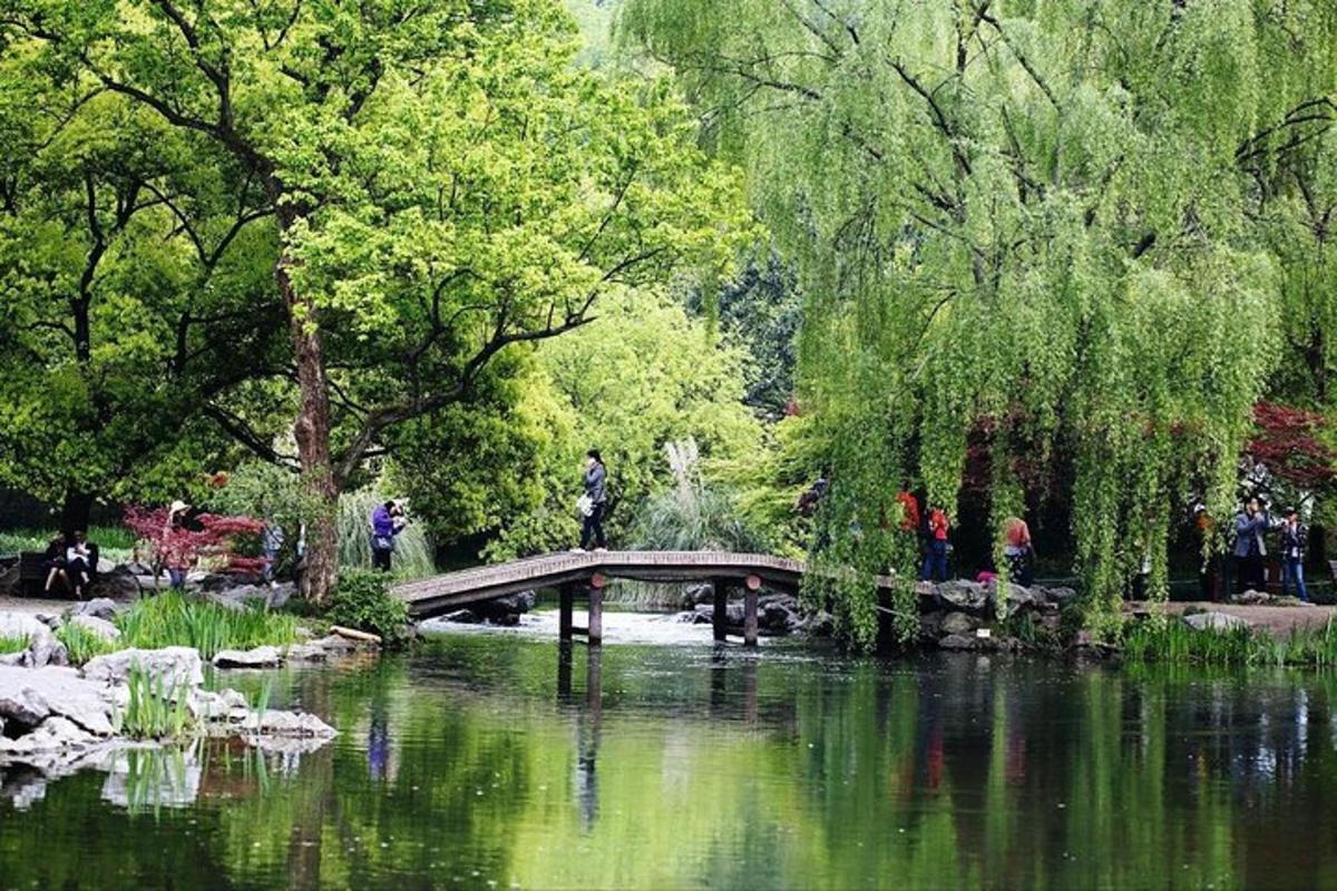 jambatan di atas kolam di taman