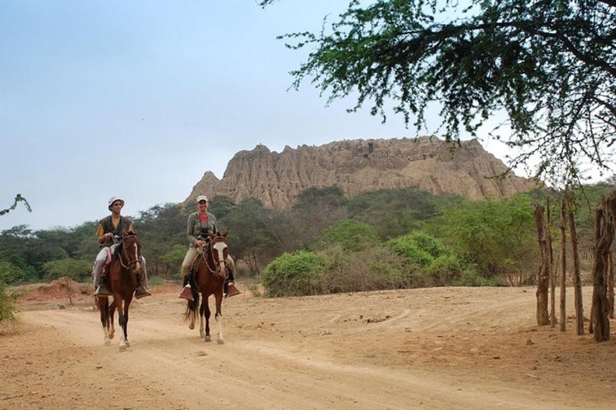 two people riding horses on a dirt road