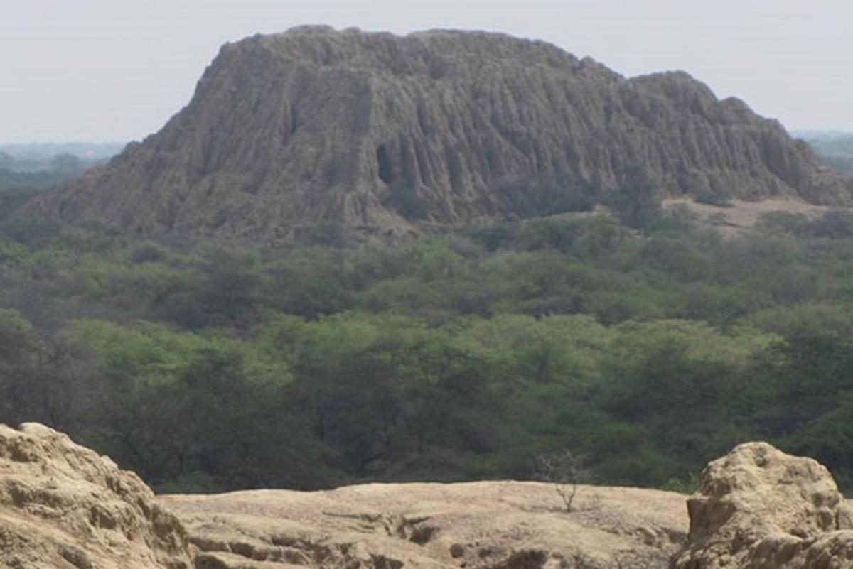 a large mountain in the distance with rocks and trees