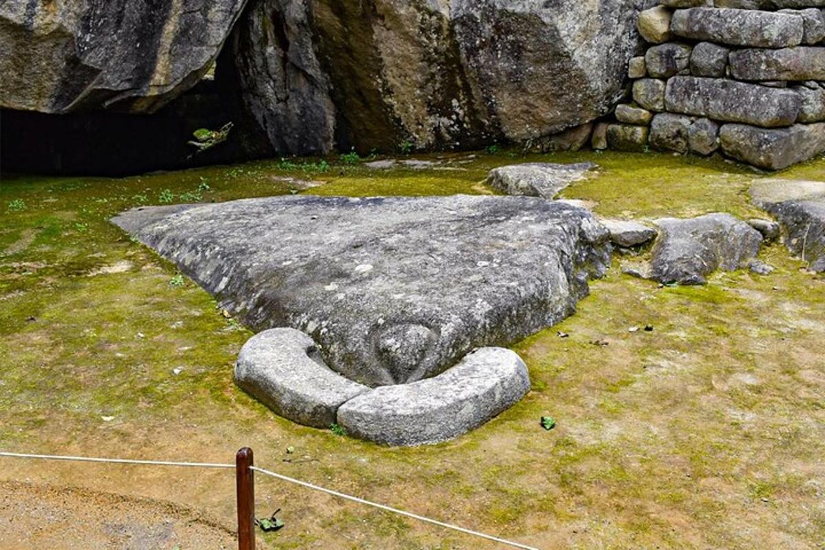 una grande roccia appoggiata sull'erba in un campo
