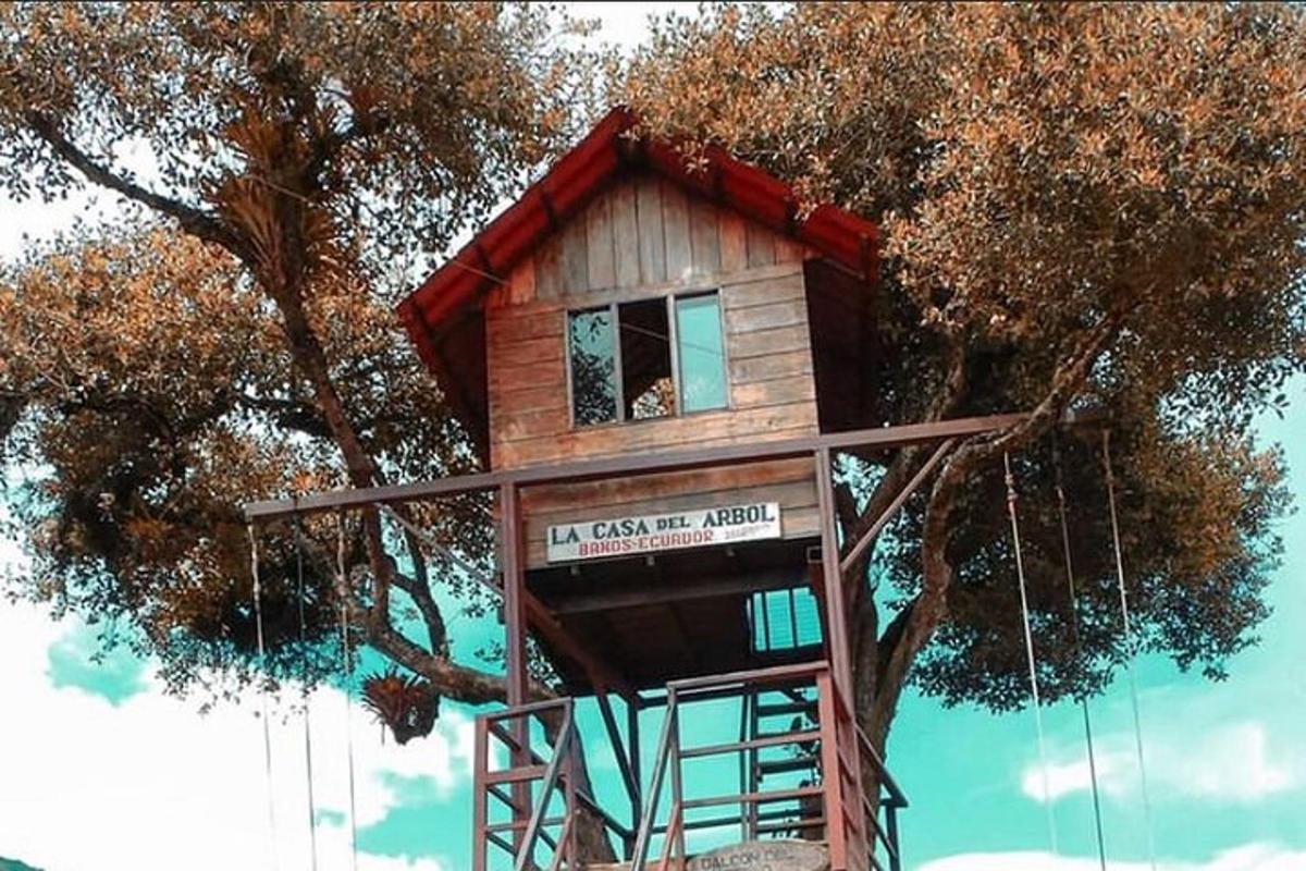 kućica na drvetu koja stoji na vrhu drveta