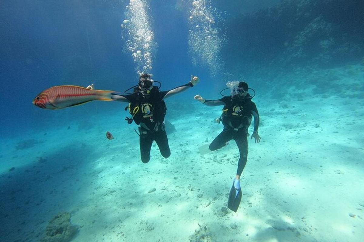 zwei Menschen schwimmen mit einem Stachelrochen im Meer