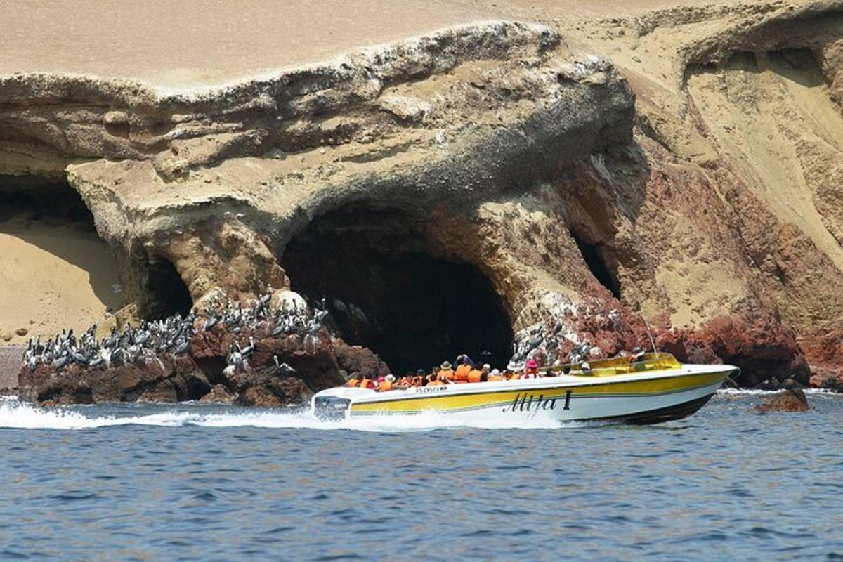 Un grupo de personas en un bote frente a una cueva.