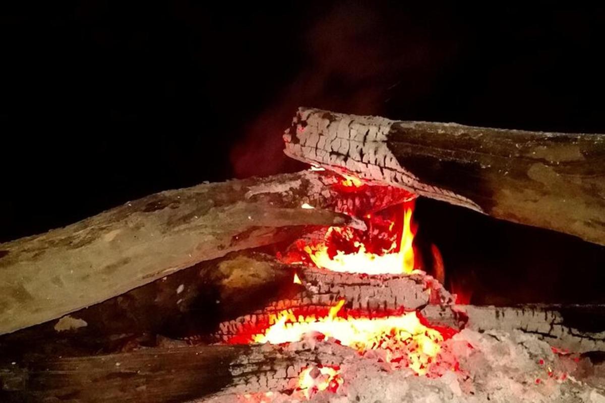 ένα κοντινό πλάνο μιας σόμπας με φωτιά