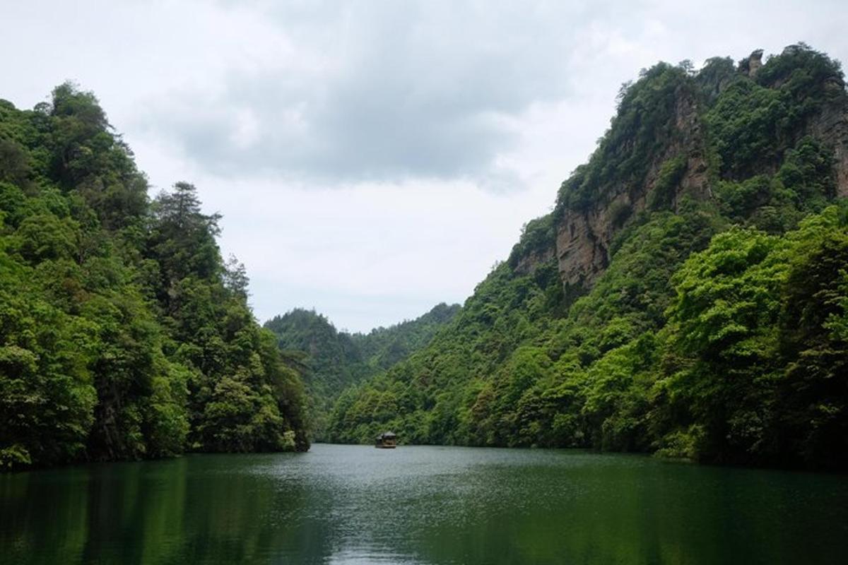 a river in the middle of a mountain with trees