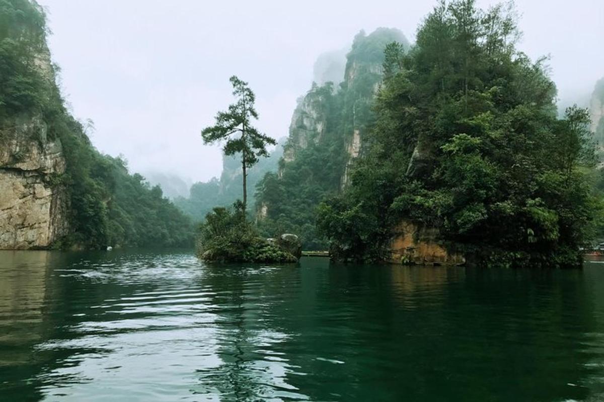 pemandangan sungai dengan pokok dan gunung