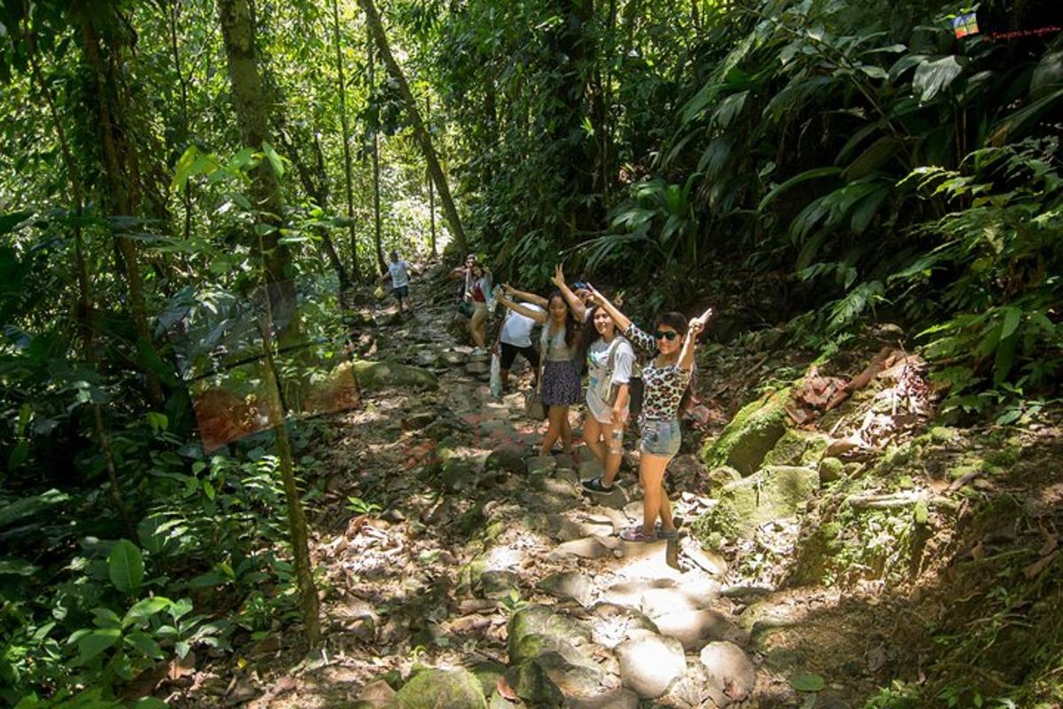 a group of people on a trail in the jungle