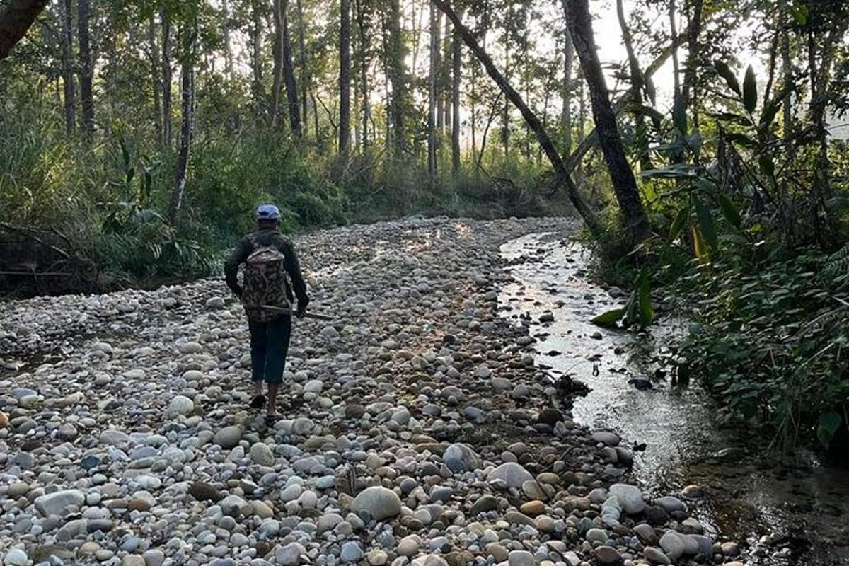 a person walking down a rocky path in the woods