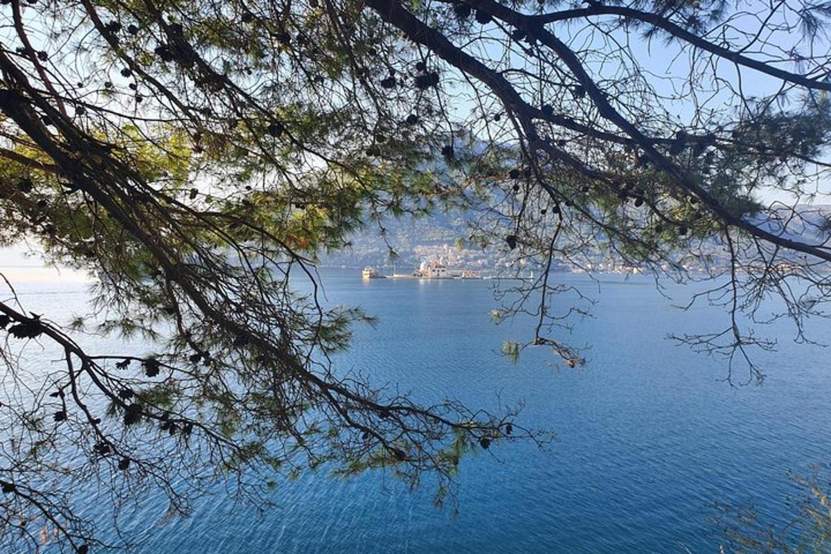 una vista di un lago con una barca in acqua