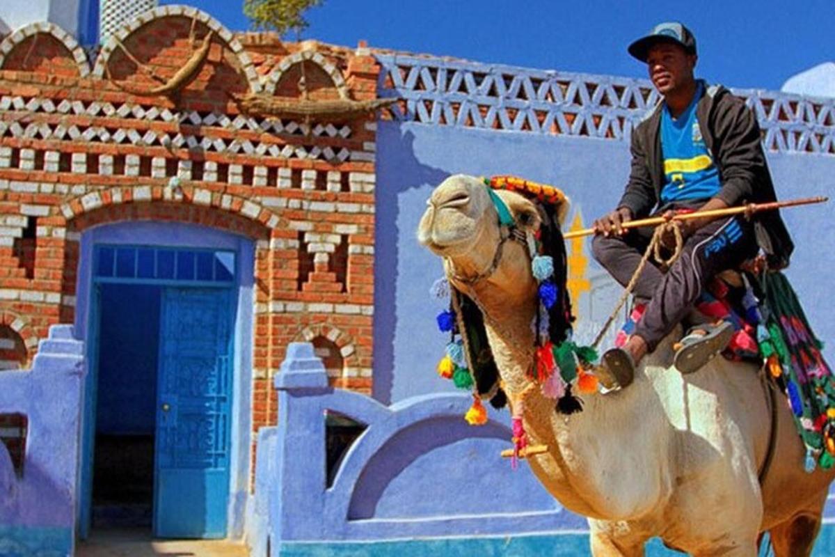 um homem montado num elefante em frente a um edifício