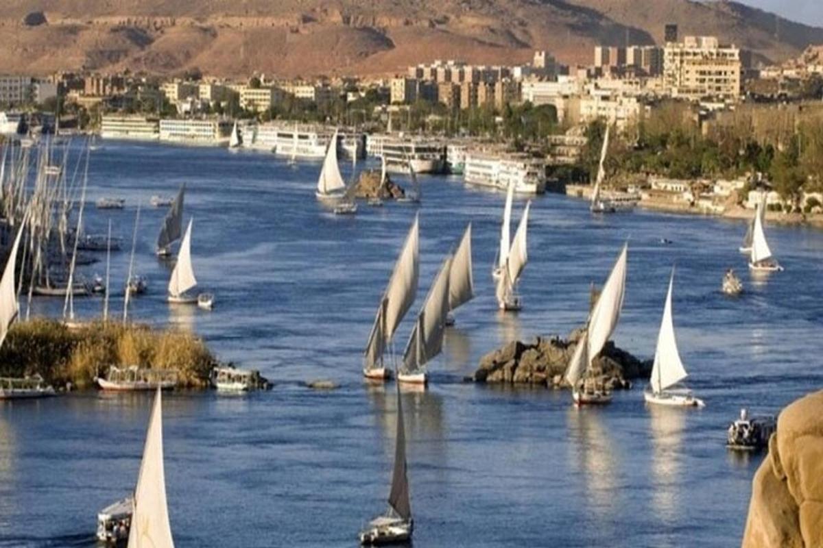 a group of sailboats on a river with a city