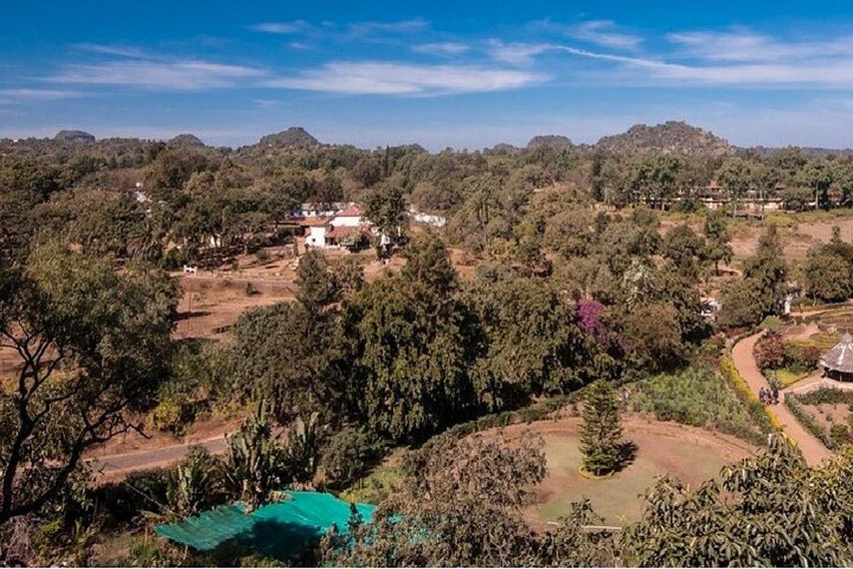 an overhead view of a field with trees and houses