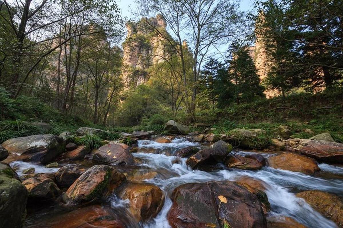 a stream of water with rocks in a forest